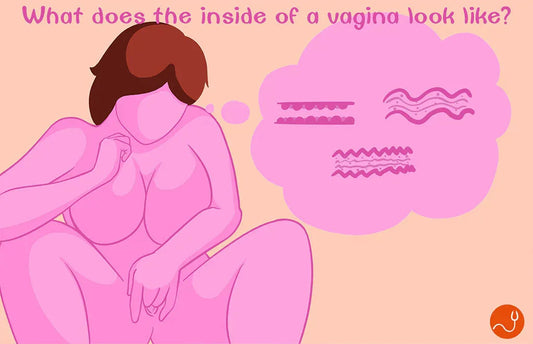 What does the inside of a vagina look like? - RealVagina