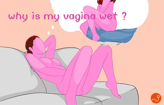Why women’s vaginas are wet?