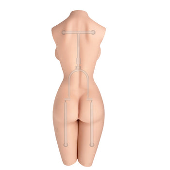 (3) Skeleton With Movable Waist Joint and Movable Leg Joints